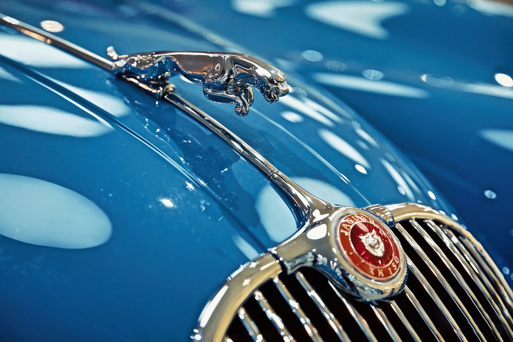 Jaguar logo blue