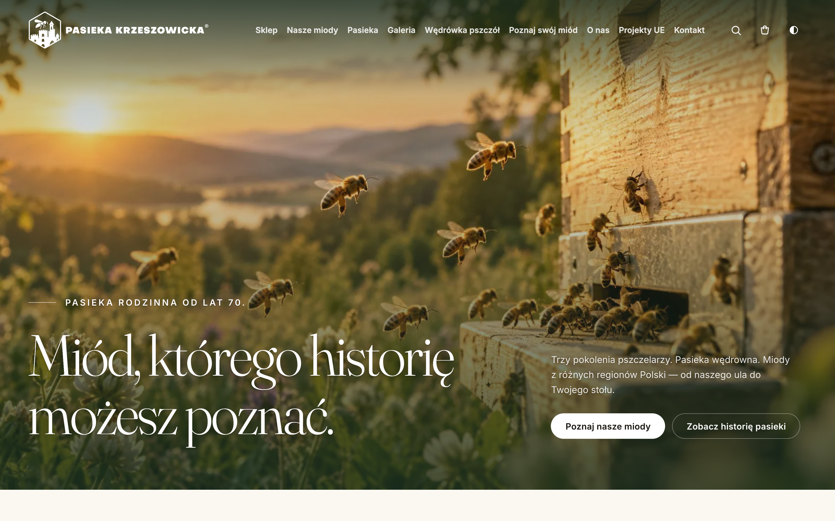Strona główna